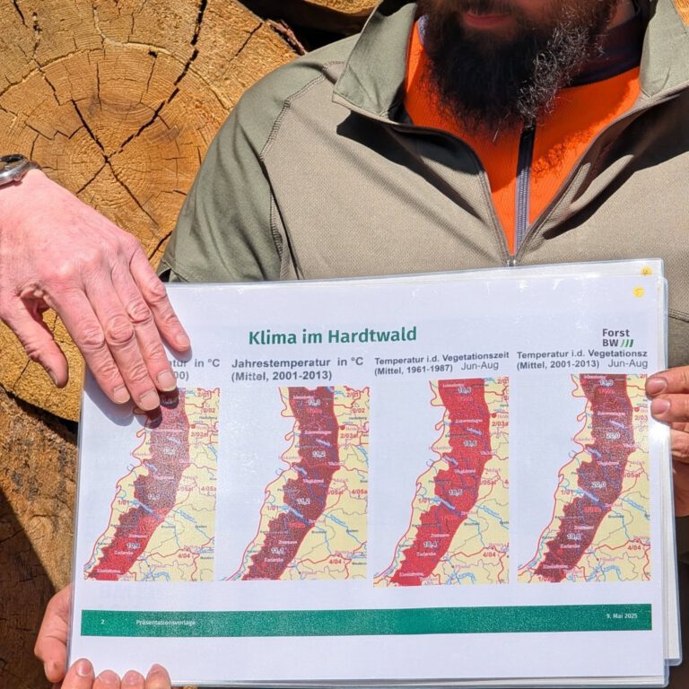 Klima im Hardtwald